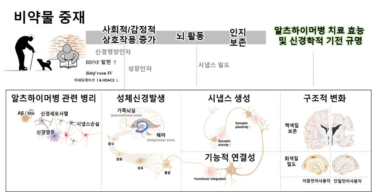 건양대 치매과학연구소 “비약물 중재의 알츠하이머병 치료 효능 및 기전 연구” 잇따라 발표